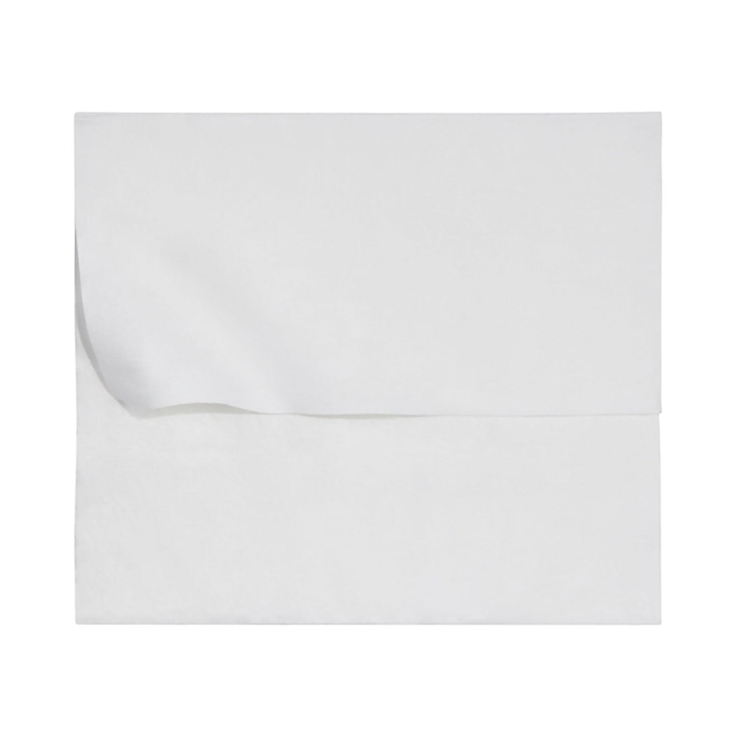 McKesson Flushable* Wet Wipes XL - Unscented, 48 Wipes per Pack