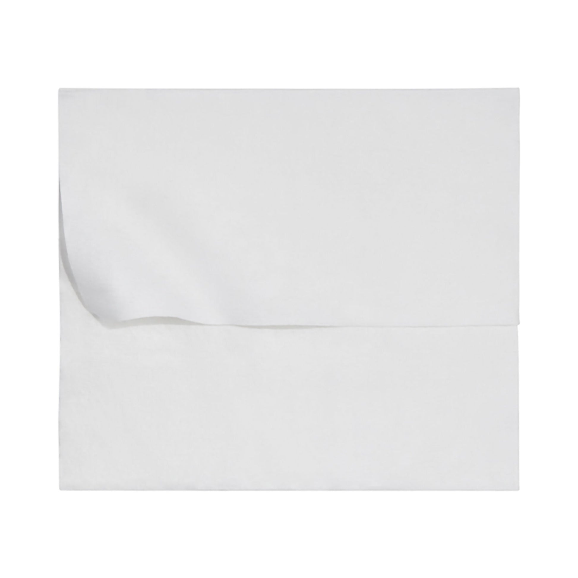 McKesson Flushable* Wet Wipes XL - Unscented, 48 Wipes per Pack