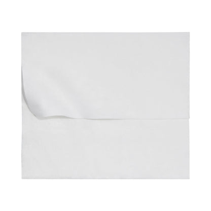 McKesson Flushable* Wet Wipes XL - Unscented, 48 Wipes per Pack