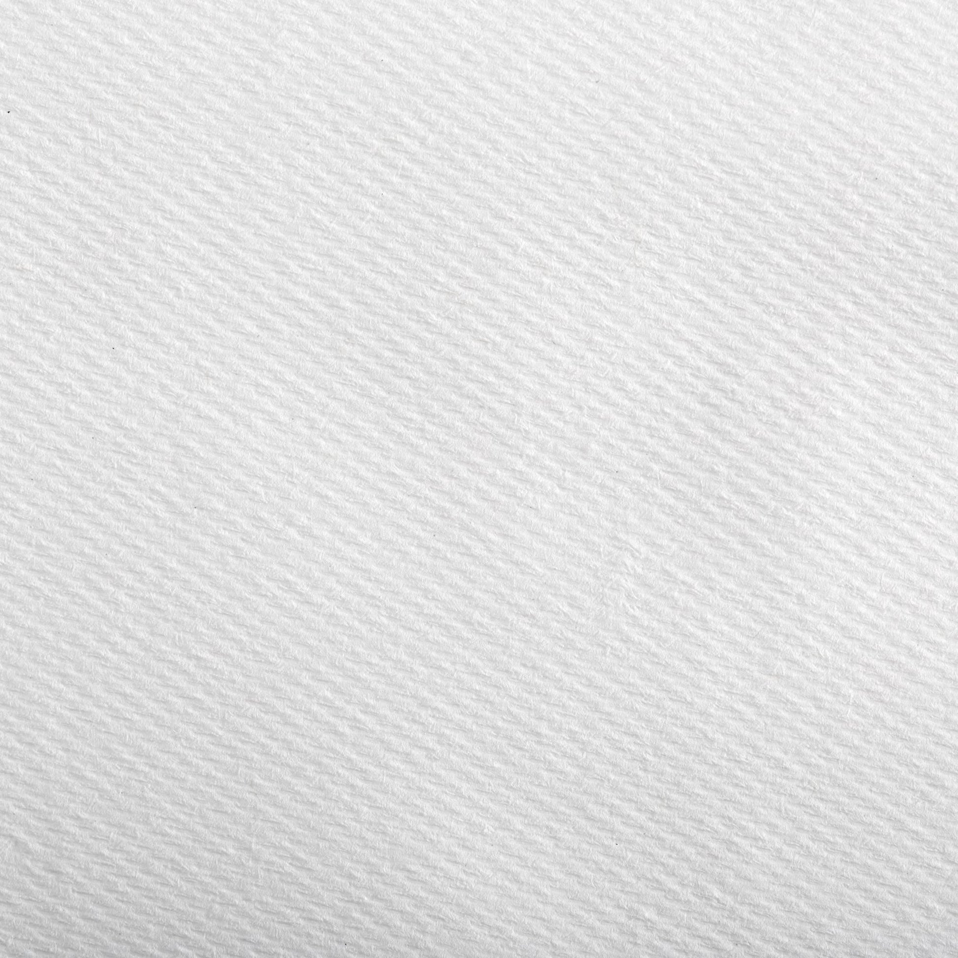 enMotion® Paper Towel