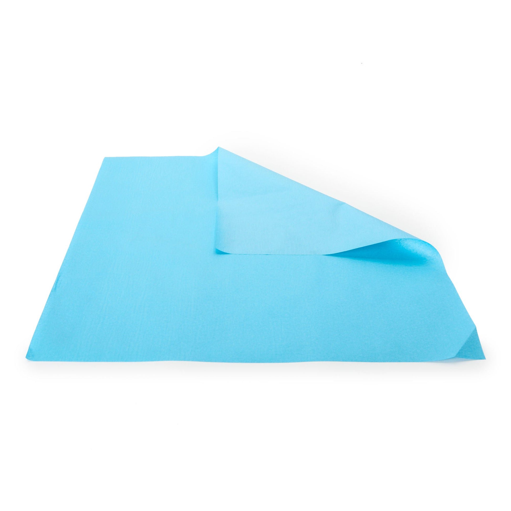 McKesson Single Layer Sterilization Wrap, 24 x 24 Inch