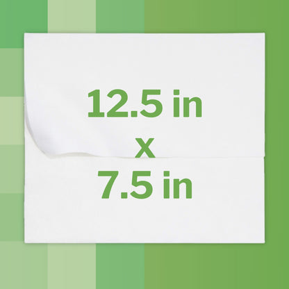 McKesson Flushable* Wet Wipes XL - Unscented, 48 Wipes per Pack