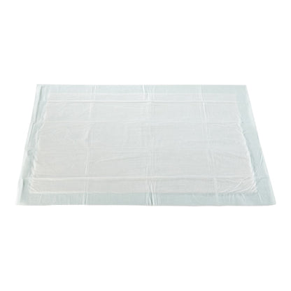 McKesson Super Moderate Absorbency Underpad, 23 x 36 Inch - 120 ct.
