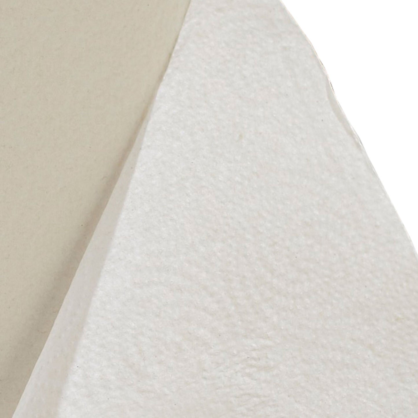 Pacific Blue Select™ Kitchen Paper Towel, 12 per Case