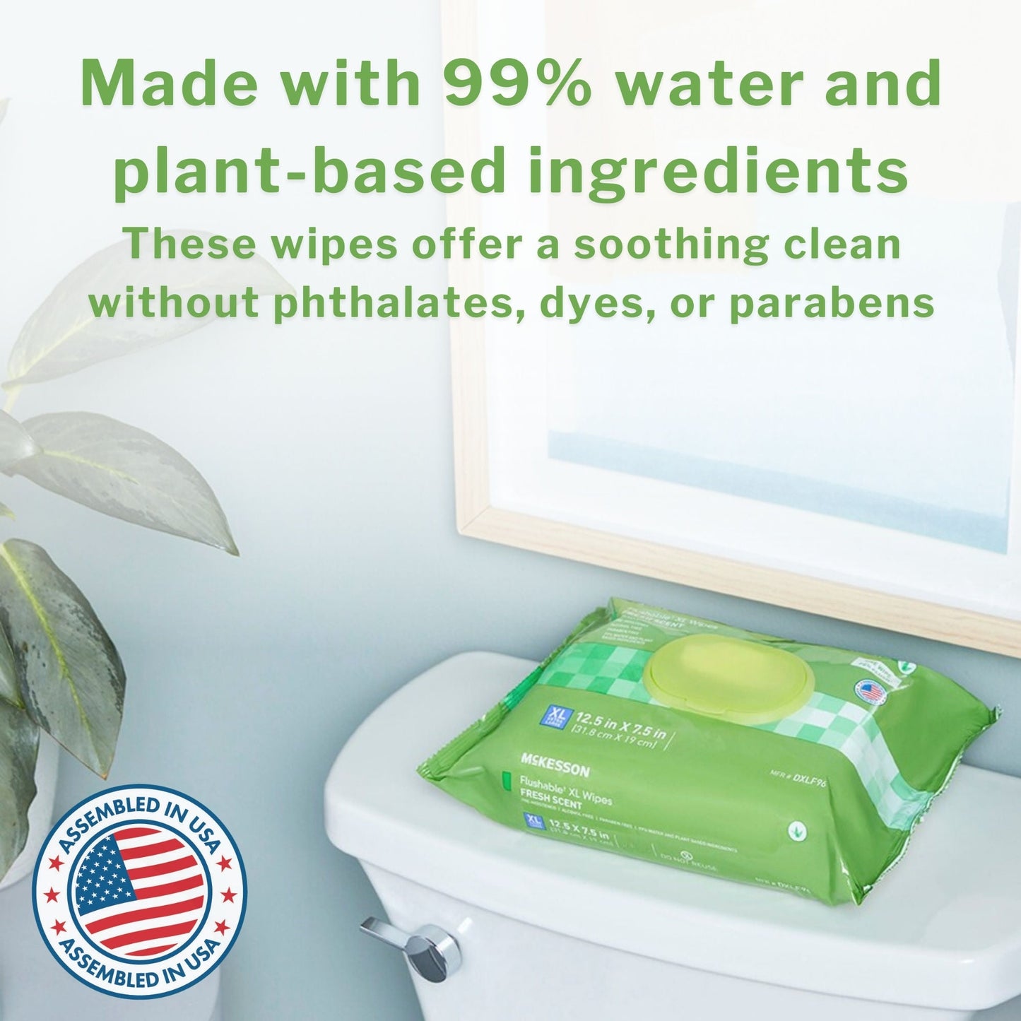 McKesson Flushable* Wet Wipes XL - Unscented, 48 Wipes per Pack